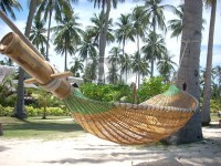 /album/galerie-de-photos-thailande-en-image/beach-island-thailand-50672-o-jpg/